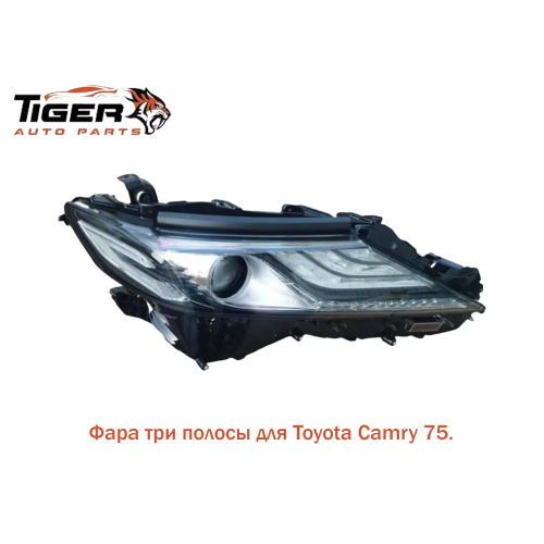 ФАРА ПРАВАЯ 3 ПОЛОСЫ (С БЛОКОМ) CAMRY 75