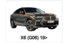 X6 (G06) 19>