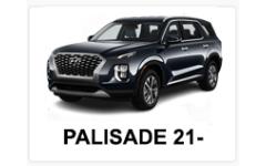 PALISADE 21>