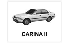 CARINA 2